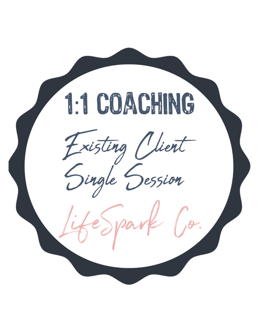 1:1 Coaching Session Existing LifeSpark Client